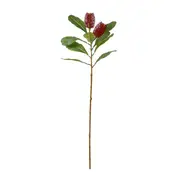 [Sleeping Giant] Banksia Spray Red - 76cm