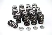 GSC for Hyundai G4KF Theta Beehive Valve Spring and Titanium Retainer Kit - gsc5
