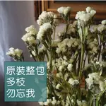 MY WONDERFUL 原裝整包$248【星辰花／星辰】天然乾燥花材／婚禮花束／手做DIY捧花