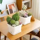 Breathable Mini Flower Pot Square Grow Pot New Seedling Tray