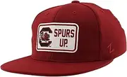 Zephyr ZHATS Standard NCAA Officially Licensed Fitted Hat M15Z Defer Team Color