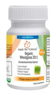 ORGANIC Wheat Grass 20:1 Extract Capsuels , Pure & High Quality