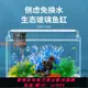 {最低價 公司貨}魚缸玻璃熱彎金魚缸懶人透明水族箱客廳家用造景中小型生態桌面缸