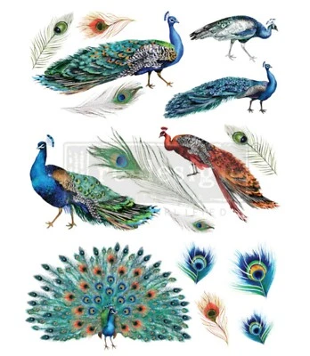 Peacock Dreams - Redesign With Prima Decor Transfer Rub On Furniture Decal