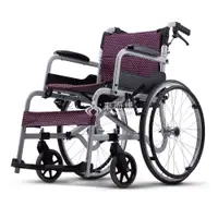 在飛比找松果購物優惠-來店/電更優惠 來而康 康揚 手動輪椅 SM-150.5 飛