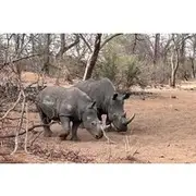 Save 5.00%! 3-Days Adventure and Cultural package with Lunch