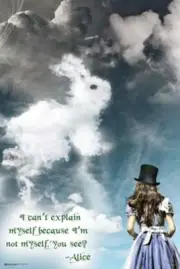 FANTASY POSTER Alice's Illusions Alice in Wonderland