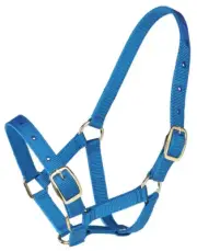 Zilco Gymkhana Foal Halter Made in Vietnam
