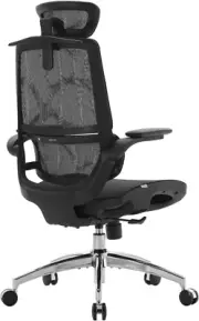 Ergonomic Office Chair, Breathable Mesh, Adjustable Height, Swivel Task, Black