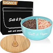 Ceramic Salt and Pepper Bowls Salt Cellar with Bamboo Lid and Spoon, Farmhouse Salt Box Holder Pepper Container Set with Two Compartments for Countertop, Modern Kitchen Decor (Turquoise)