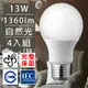 4入 歐洲百年品牌台灣CNS認證13W LED廣角燈泡E27/1360流明- 自然光