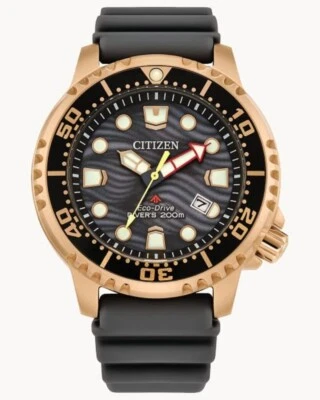 Citizen Eco-drive BN0163-00H