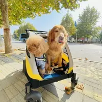 在飛比找樂天市場購物網優惠-寵物推車中大型犬可折疊便攜式狗車輕便中老年犬狗輪椅外出遛狗車