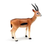 在飛比找蝦皮購物優惠-固體靜態模型兒童仿真野生動物世界南非羚羊藏羚羊男孩玩具擺件