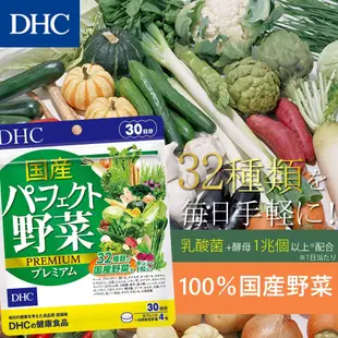 DHC 日本 32種蔬菜合成 野菜 野菜錠 30日分 120粒 乳酸菌+酵母 野菜不足 幫助補充 國產 日本代購