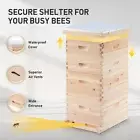 40 Frames Beehive Bee Hive House Box 20 Deep 20 Medium Beekeeping Brood Box