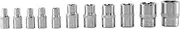 Atelierate 11Pc Female E Torx Star Socket Set Rail E4 - E20 External Star Torque Socket Set