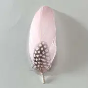 New Feather Hat Mount - Style 14 - Wholesale Feathers & Craft Supplies