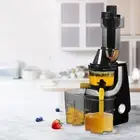 Spector Electric Cold Press Juicer Whole Fruits Vegetable Slow Masticating Machi