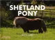 Spirit of the Shetland Pony