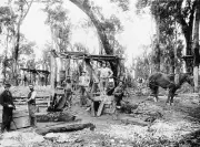 Mafeking Grampians Victoria 1909 - Miners at a gold mine in the Mt- Old Photo