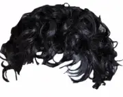12 Pce Black Curly Hair Mens Wig. Bulk Buy Michael Jackson