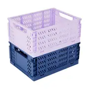 2 Pack Large Collapsible Containers - Purple and Navy