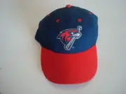 FARGO REDHAWKS BEACH GOLF STRAPBACK DEADSTOCK HAT CAP VINTAGE P2
