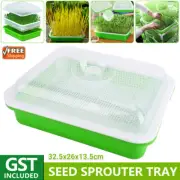 1/2/3X Seed Sprouter Tray without Lid BPA Free Bean Sprout Grower Sprouting Seed