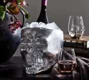 Skull Wine Chiller Ice Bucket Aluminum Pottery Barn