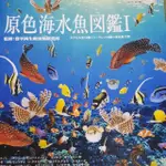 YUJIN 原色海水魚圖鑑1 絕版品 魚 扭蛋 模型