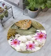 3D Lotus Pebbles ZHUA3249 Game Non Slip Rug Mat Photo Carpet Zoe