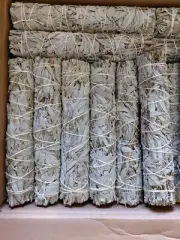 California White Sage 12 Pack of 9 Inch Extra Large "JUMBO" Smudge Sticks