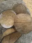 Coconut Shell Pieces Eco-Friendly Pure Natural Free Shipping Sri Lanka