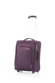 [APPLITE 4E] UPRIGHT (50 cm) ColorNo: 4204