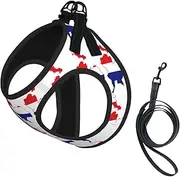 Thailand Flag Map print Dog Harness and Leash Set, Reflective Adjustable Puppy Vest for Small Medium Large Dogs, Cats