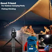 Exclusive Danoz Direct Mini LED Flashlight Keychain Light - perfect for camping, fishing, and everyday use!