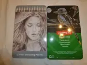 derwent academy metallic pencils x 12 - 12 pack sketching pencils x 12