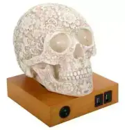 Summit Collection Floral Skull Home Decor LED Lamp with Two USB Charging Ports
