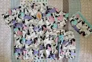 Peter Alexander Women's Troll PJ Shortie Set - Size S - BNWT