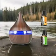 Aromatherapy Diffuser / Indoor Humidifier, 7 LED Lights with Smart Touch Switch.
