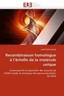Recombinaison homologue a l''echelle de la molecule unique, MINEHATTAB-J<-