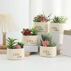 Elegant Artificial Succulents in Cement Clay Planters for Office Decor