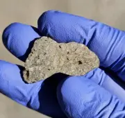 Meteorite**NWA 16877, Diogenite**4.634 gram slice, Rare (annealed breccia)!!!