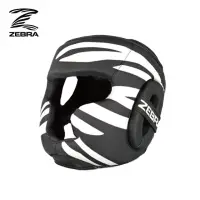在飛比找momo購物網優惠-【Zebra Athletics】防護頭盔 ZFTHG01(