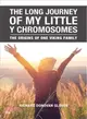 The Long Journey of My Little Y Chromosomes ― The Origins of One Viking Family