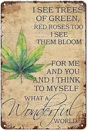 I SEE TREES OF GREEN，RED ROSES TOO，I SEE THEM BLOOM，FOR ME AND YOU AND I THINK TO MYSELF What A Wonderful World