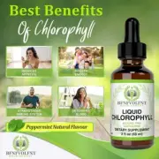 Benevolent Nourishment Liquid Chlorophyll Herbal Supplement 2fl.oz SEALED IN BOX