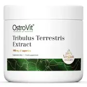 TRIBULUS TERRESTRIS - 100-200 g - Increased energy levels, endurance, libido