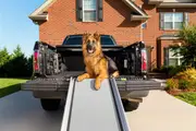 PetSafe® Happy Ride Deluxe Telescoping Ramp XL PTV17-16899